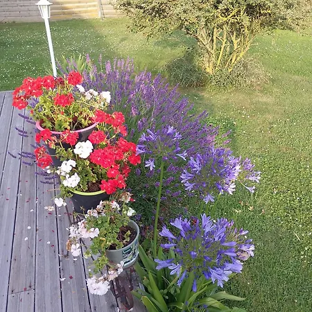 B&B En Baie De Somme 카이유쉬르메르