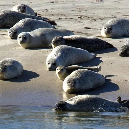 En Baie De Somme Couette-café Cayeux-sur-Mer